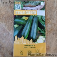 Kabatšokk (Suvikõrvits) Terminator F1