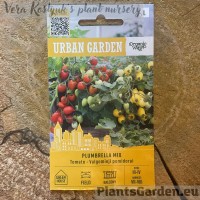 Tomātu Plumbrella Mix