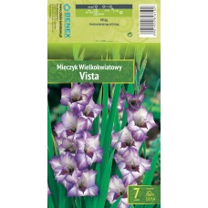 Gladiola Ruffled Vista