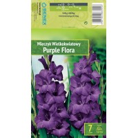 Gladiolus Large-Flowering Purple Flora