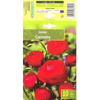 Gundega Red Czerwony