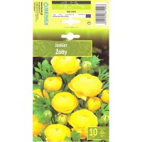 Ranunculus   Yellow Żółty