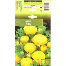 Ranunculus   Yellow Żółty