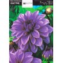 Dahlia Box Lilac Time/ Babylon Red/ Iceberg Usa/ Lavender Perfection/ Grand Prix