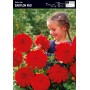 Dahlia Box Lilac Time/ Babylon Red/ Iceberg Usa/ Lavender Perfection/ Grand Prix