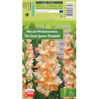 Gladiool Ruffled The Great Queen Elisab