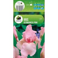 Ирис Germanica Pink
