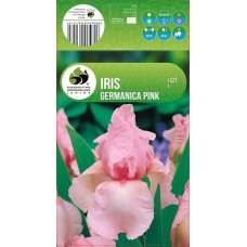 Iris Germanica Pink