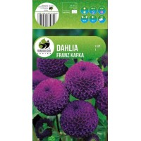 Dālija Pompon Franz Kafka