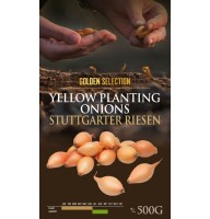 ONIONS SEEDING STUTTGARTER RIESEN 14/21MM    0,5KG