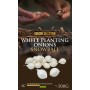 ONIONS SEEDLING SNOWBALL 14/21 0,5 KG