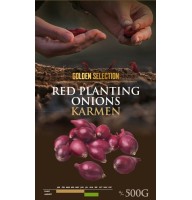 ONIONS SEEDLING KARMEN 14/21 0,5 KG