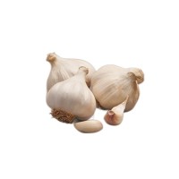 Winter garlic Flavor 50/60 0.25kg