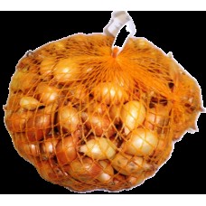 ONIONS SEEDLING STUTTGARTER RIESEN 21/24 1KG