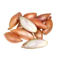 SHALLOT ONION SEEDLINGS GRISELLE 21/24 0,5KG