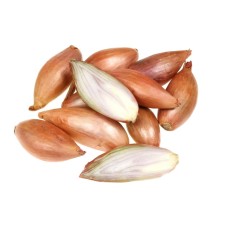 SHALLOT ONION SEEDLINGS GRISELLE 21/24 0,5KG