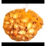 ONIONS SEEDLING CRUSADO 14/21 MM 0,5 KG