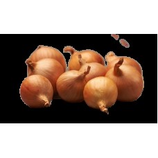 ONIONS SEEDLING GOLDEN GOURMET 22/44 0,5KG
