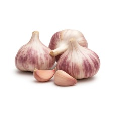 Winter garlic Germidour 50/60 0.25kg
