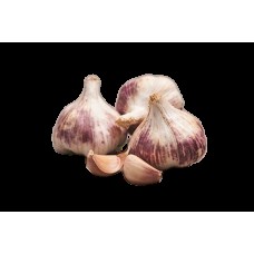 Suvi küüslauk Morado 44/55 0,5kg