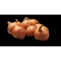 ONIONS SEEDLING YELLOW MOON 22/44 0,5KG PROFI