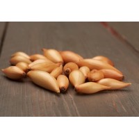 Лук-севок BIRNFORMIGE 14/21 0,5 KG