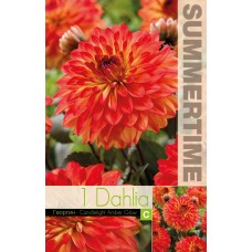 Daalia Decorative Candlelight Amber Glow