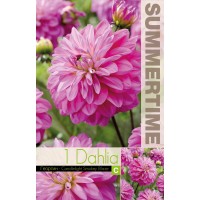Dahlia Decorative Candlelight Smokey Bla