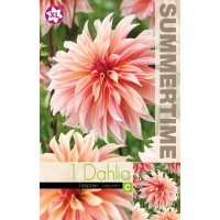 Daalia Decorative Labyrinth