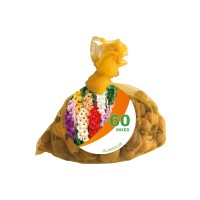 Гладиолус Bag Mixed