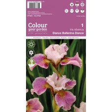 Iris Ballerina Dance