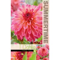 Daalia Decorative Belfloor