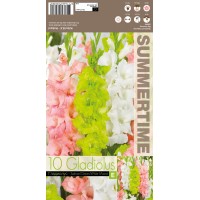 Gladiool Salmon / Green / White