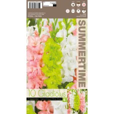 Gladiola Salmon / Green / White