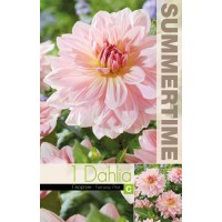 Daalia Fairway Pilot