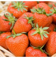 Aedmaasikas Christine 4 tk.