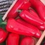Paprika Paprika