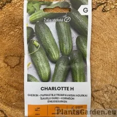 Kurk Charlotte F1