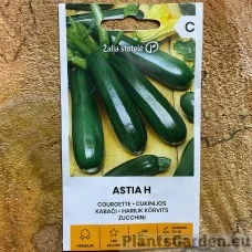 Kabatšokk (Suvikõrvits) Astia F1