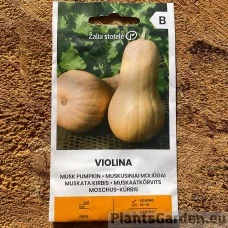 Kõrvits Violina