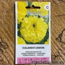 Peiulill kõrge Calando Lemon