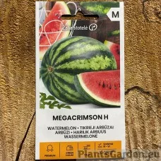 Arbuus Megacrimson F1