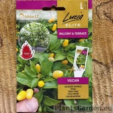 Kibe pipar Vulcain (700 000 - 900 000 SHU)