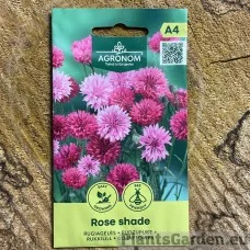 Rukkilill Rose Shade (Agronom)