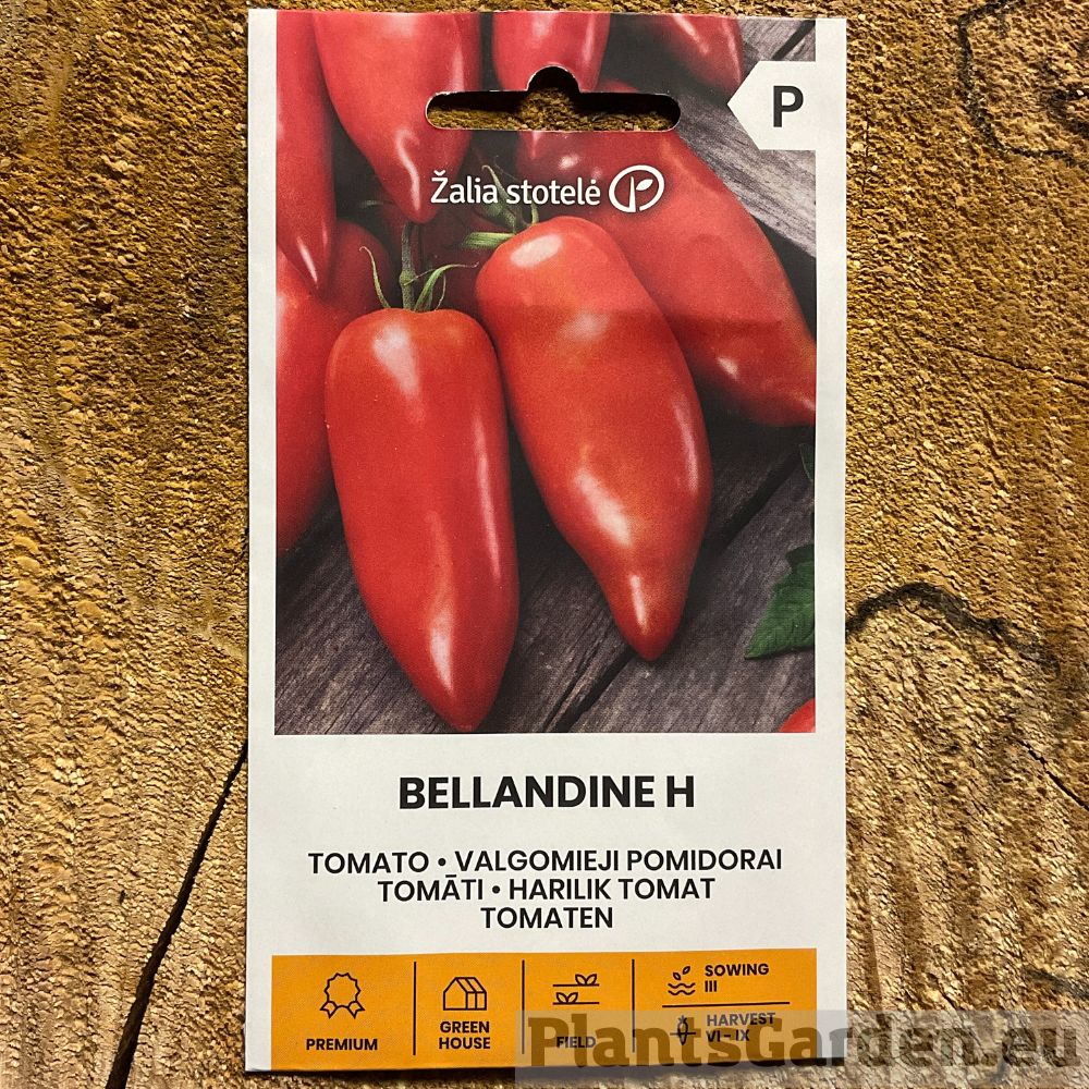 Pikad piprakujulised tomatid Bellandine F1, lihakas sisu kastmeteks